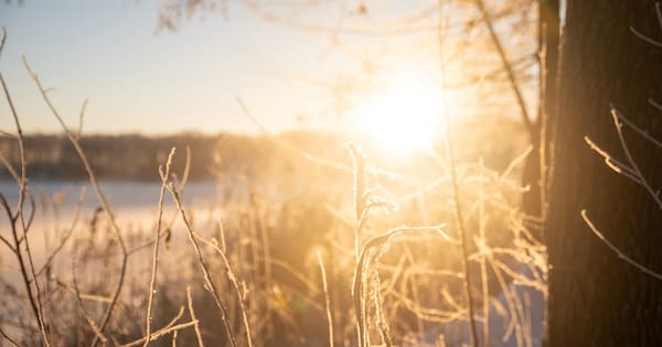Temperatures to climb after frosty first week of school holidays