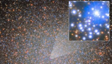 The 1st of 10,000 'missing' black holes in the Omega Centauri star cluster has been found