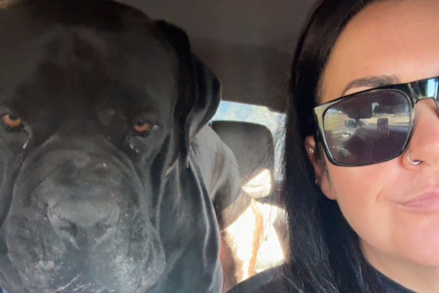 Black dog and woman wearing black glasses next to each other in the car