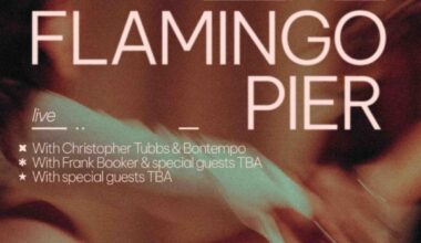 Flamingo Pier - Woven Together - Paisley Stage, Napier