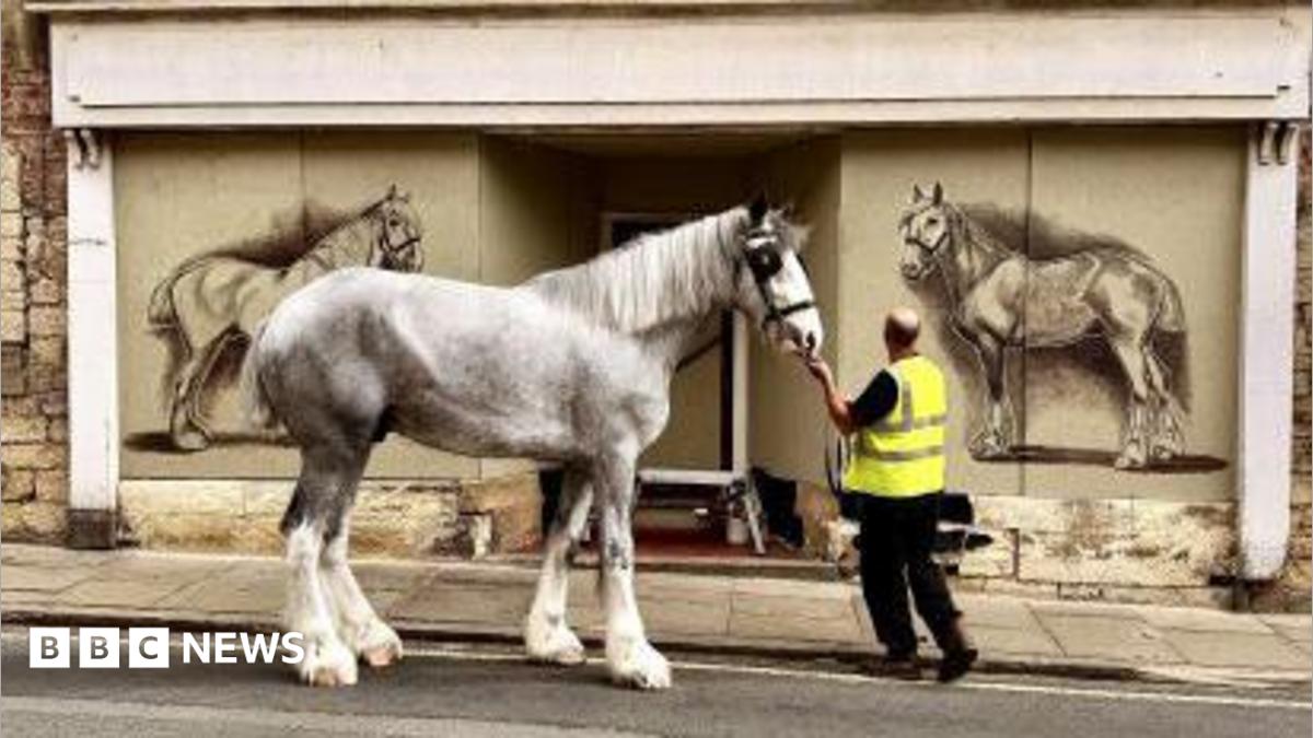 Grey shire horse with white legs stood in front of a boarded up shop with a drawing on either side of the door of a shire horse