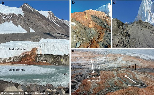 A new study suggests the iron-rich brine emerging from beneath the ice is home to a unique community of marine microorganisms that have been trapped beneath the glacier for hundreds of thousands of years. Pictured: The study area