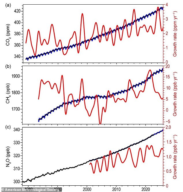The data shows the amount of harmful greenhouse gases including carbon dioxide, methane and nitrous dioxide reached record levels