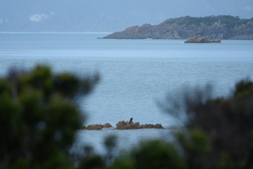 A bird sits on a rocky outcropping on the water's edge.