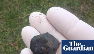 Flight paths and fridge magnets: how a fireball hunter tracked down New Zealand’s newest meteorite | New Zealand