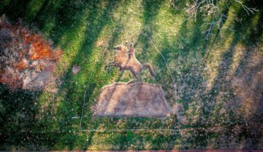 Four Native Artists Commissioned for Counterpublic Triennial