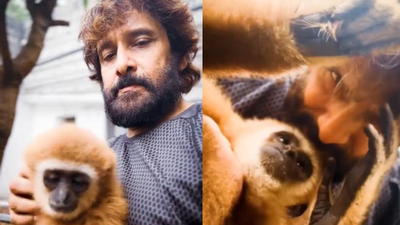 Vikram's Lar Gibbon controversy: Actor's connection explained as Forest Department investigation traces monkey to Erode resident