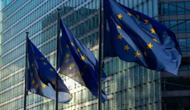 EU flags