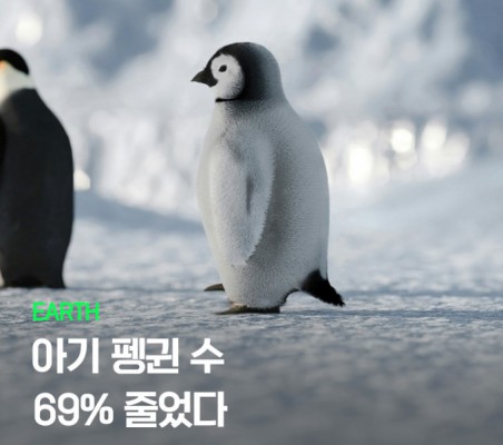 씨즈팀