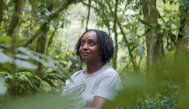 To protect endangered mountain gorillas, this wildlife vet empowers their human neighbors