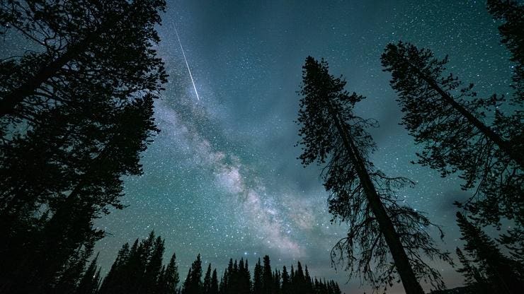 See A Solar Eclipse, The Perseids And A 96% ‘Blood Moon:’ August’s Sky