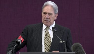 NZ First's proposed grant to encourage 'more Kiwis having more children'