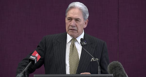 NZ First's proposed grant to encourage 'more Kiwis having more children'
