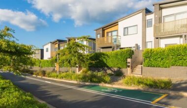 'Kids have a right to wobble': Dutch expert on NZ's car-first cities