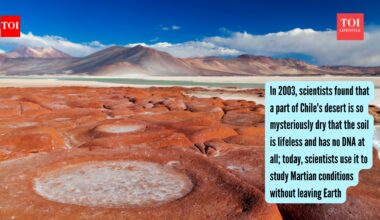 Atacama Desert: In 2003, scientists found that a part of Chile's desert is so mysteriously dry that the soil is lifeless and has no DNA at all; today, scientists use it to study Martian conditions without leaving Earth