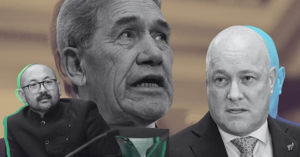 Luxon plans chat with Peters about 'racist' remarks 'at some point'