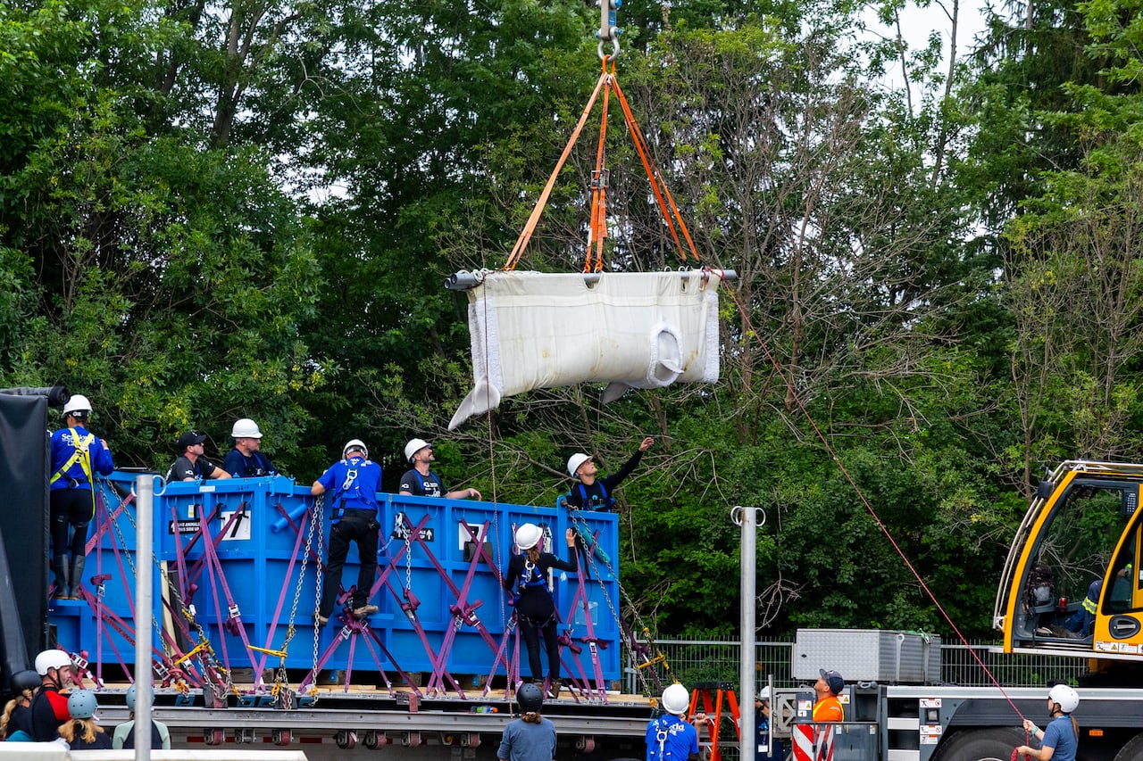 Beluga whale 'Frankie' is transported by a group of experts from Marineland and several U.S. aquariums onto a truck via a sling at Marineland in Niagara Falls, Ont. on Monday, July 20, 2026.