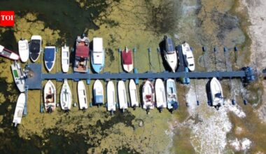 Danube: Europe’s Danube, Rhine and Loire are shrinking under heat and drought, disrupting shipping, power generation and tourism