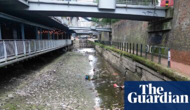 All bodies of water in England polluted with toxic chemicals, official data shows | Water