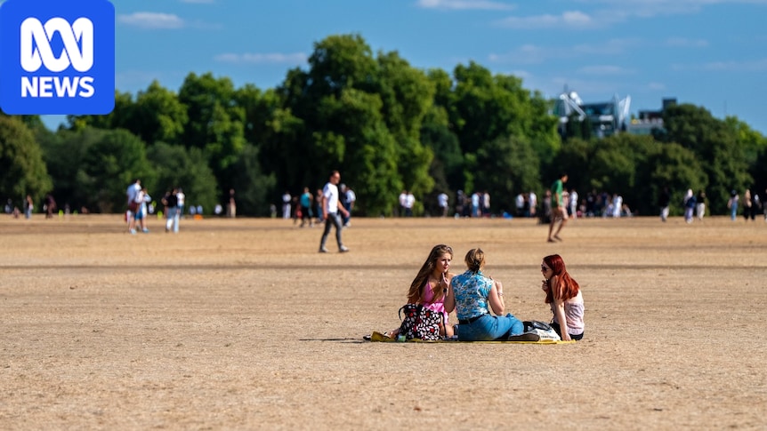 Britain's green pastures and parks turn brown as drought grips country