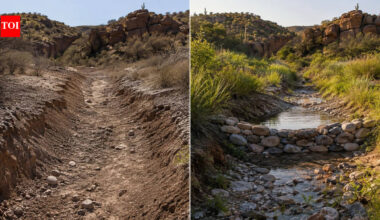 In 1982, an Arizona couple began building what became about 20,000 small rock dams across their desert ranch; one study found stream water increased 28% and flowed four weeks longer | World News