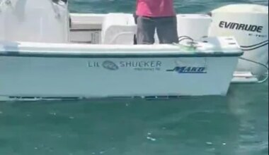 Shark spotted off Scarborough Beach 🦈 - YouTube