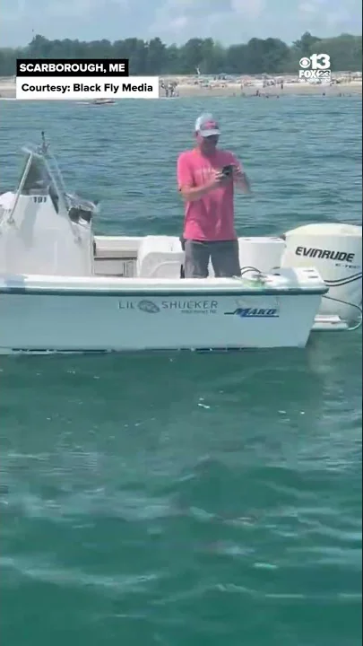 Shark spotted off Scarborough Beach 🦈 - YouTube