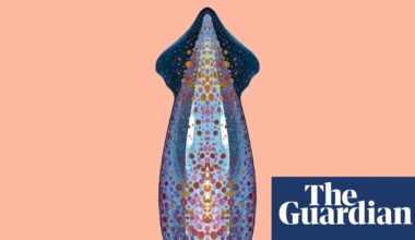 ‘Like an alien invasion’: the neon flying squid that can fly in formation above the ocean | Marine life