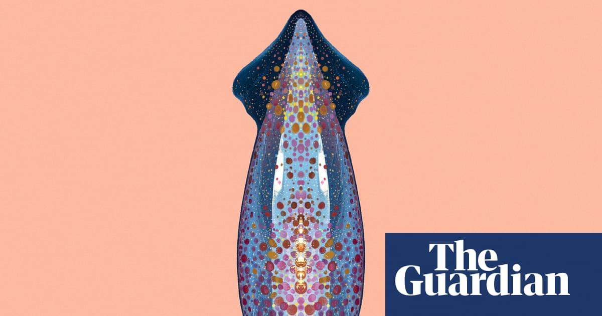 ‘Like an alien invasion’: the neon flying squid that can fly in formation above the ocean | Marine life
