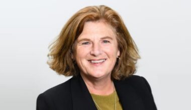 Nursing Council chief executive quits amid wider resignations – union