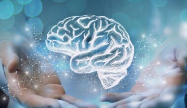 Meis2 gene therapy restores brain plasticity and reduces seizures in neurodevelopmental disorder mouse model