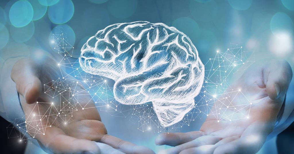 Meis2 gene therapy restores brain plasticity and reduces seizures in neurodevelopmental disorder mouse model
