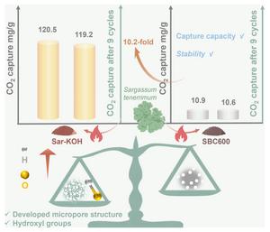 Turning Sargassum waste into a high-performance material for carbon capture