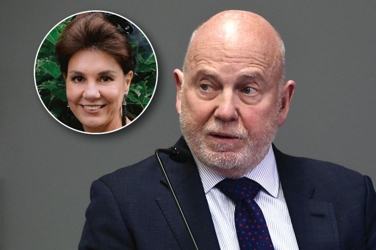 ‘False, patently wrong’: Polkinghorne denies killing Pauline Hanna at inquest into wife’s death - Stuff