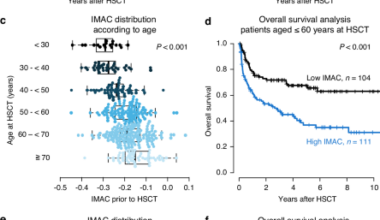 Low muscle quality, but not muscle mass, in abdominal CT-scans associates with adverse outcomes in AML patients undergoing an allogeneic stem cell transplantation