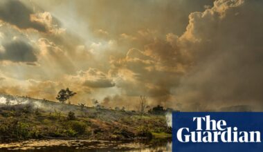 El Niño may peak at the worst time for the Amazon – and it should worry us all | Amazon rainforest