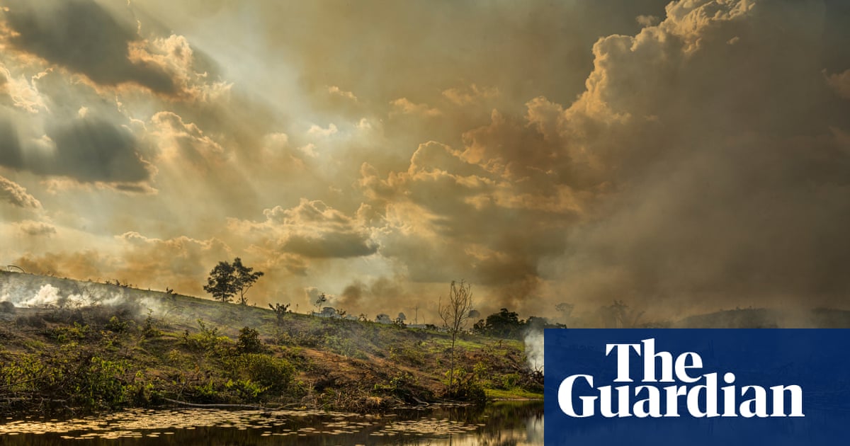 El Niño may peak at the worst time for the Amazon – and it should worry us all | Amazon rainforest