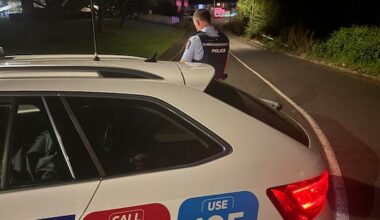 Four injured in Hamilton knife attack, firearm discharged