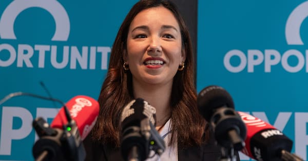 Opportunity Party urges lobbying and donations reforms