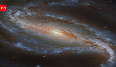 In 2016, an amateur astronomer testing a new camera captured a supernova brightening up to 70 million light-years away