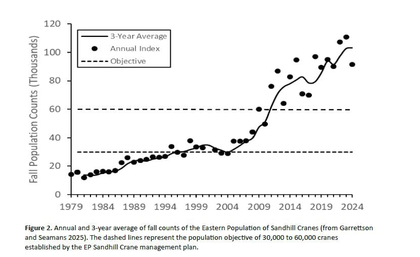 A chart showing the growth of Eastern Population sandhill cranes from 1979 to 2024.