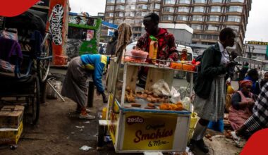 15 Lucrative Businesses You Can Start in Kenya with as Little as KSh 8,000