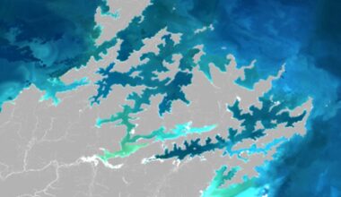 A satellite image of part of New Zealand