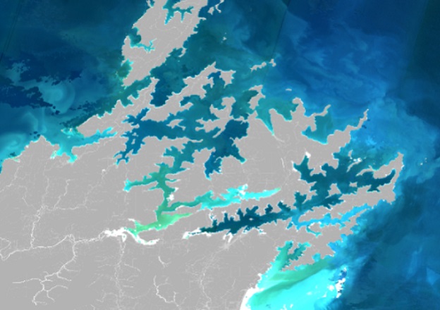 A satellite image of part of New Zealand