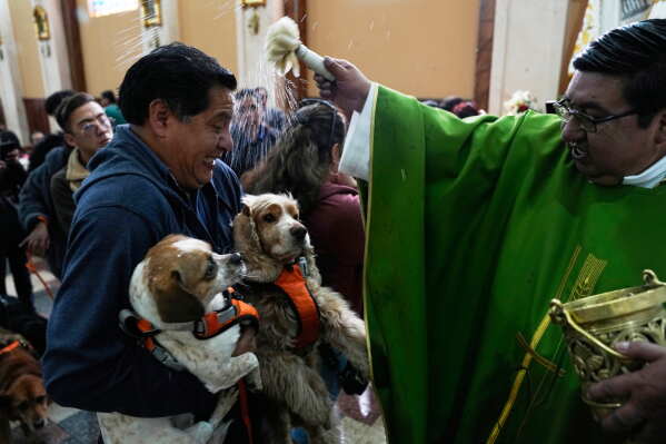 Catholic Priest Saul Mamani blesses dogs with holy water during Mass at the Gran Poder parish marking the feast day of San Roque, the patron saint of dogs, in La Paz, Bolivia, Sunday, Aug. 16, 2026. (AP Photo/Juan Karita)