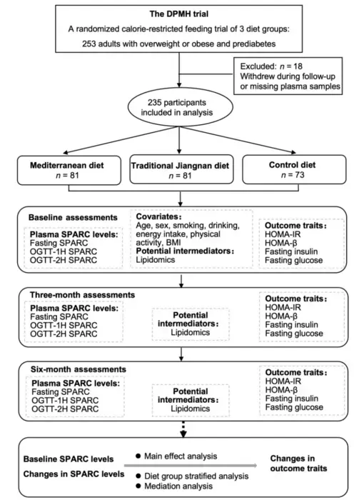 Flow Diagram Demonstrating the Study Design