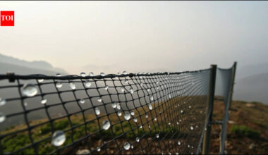 Moroccan women once walked hours to collect water; now giant nets harvest drinking water from mountain fog | World News