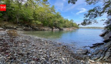 In 1964, a 27-year-old woman bought an abandoned 18 acre island off Maine and built a small house to live there alone; 22 years later the island was donated to become a wildlife sanctuary