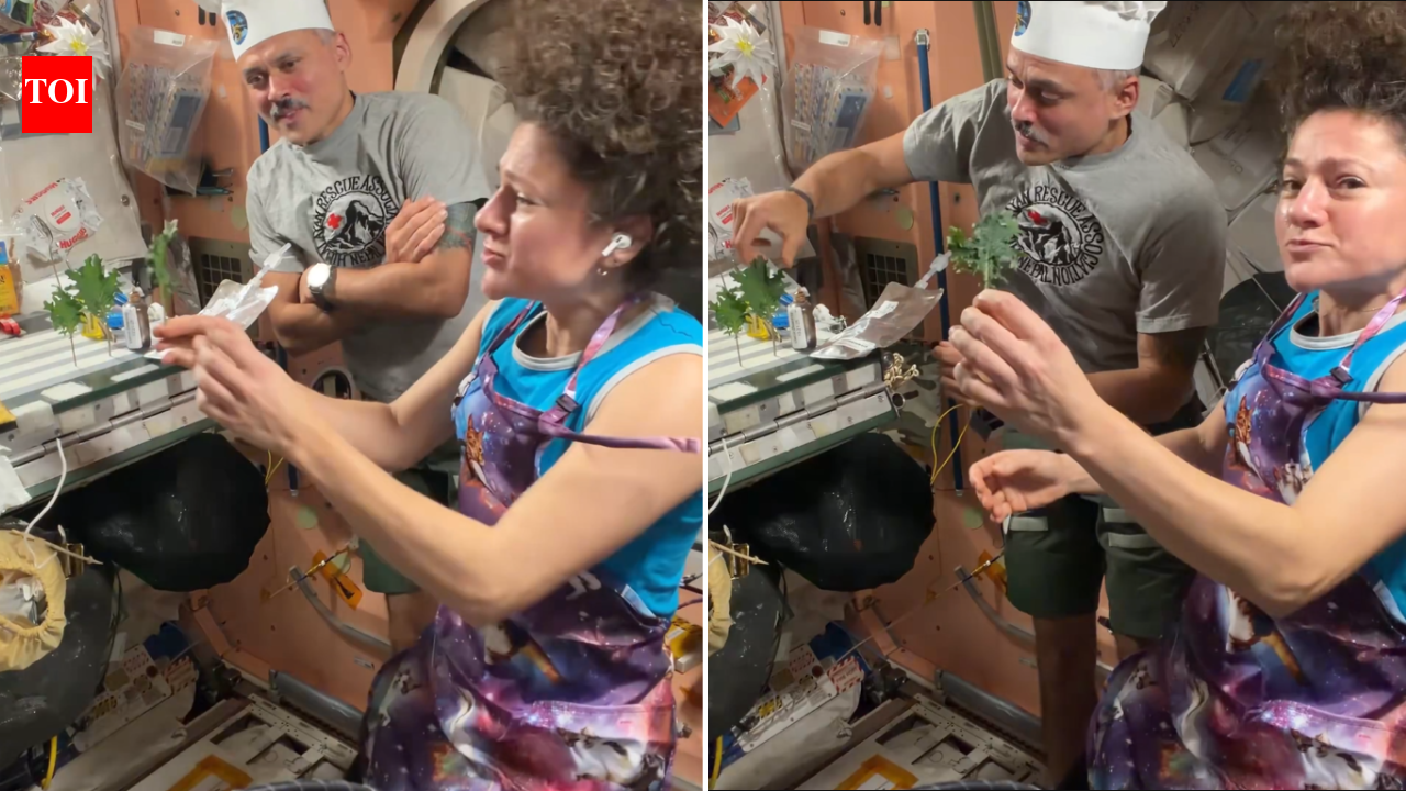 Growing Food In Space: ‘Smells like Earth’: Indian-origin astronaut Anil Menon harvests vegetables in space, cooks with fellow astronaut Jessica Meir