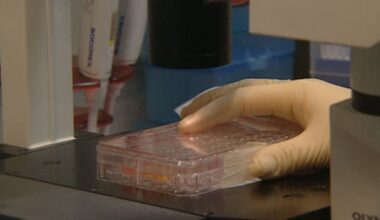 'I'd probably be dead': Woman warns of gene testing insurance fears
